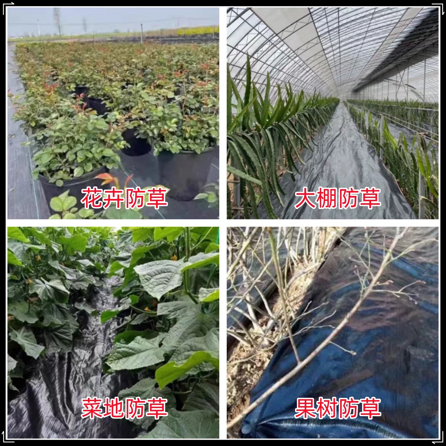 鸡西市黑白养殖膜防草布 - 一站式服务