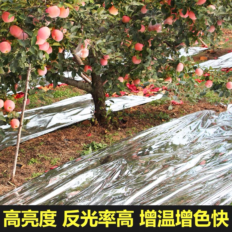 鸡西市大棚膜果树反光膜 - 价格